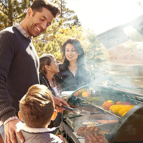 Louisiana Grills 1000 Black Label Series Portable Outdoor Bluetooth Pellet Grill Black