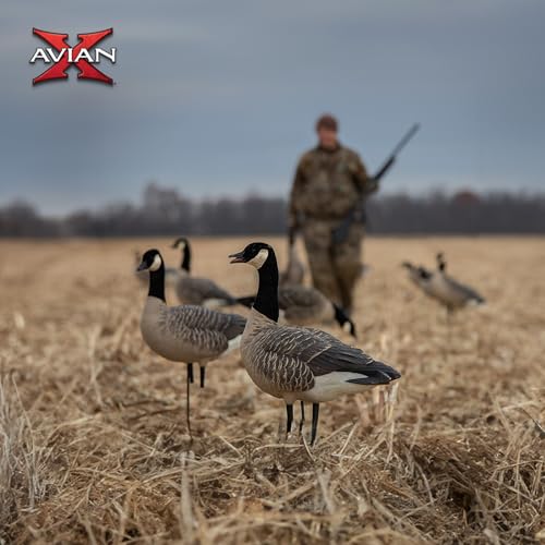 Avian-X AXP 6 Piece Honker Sentry Goose Decoy Set