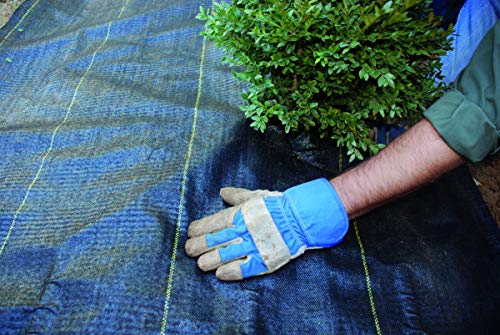 Dewitt P12 12-Feet x 250-Feet 5-Ounce Woven Landscape Fabric Black