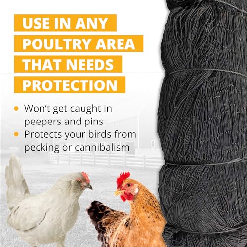 Stromberg's 1" Knotted Game Bird Netting Black - Heavy Duty, UV-Resistant, 85 lb Break Strength, 50' x 100'