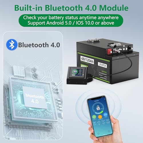 Cxeny 48V 120Ah Lithium Golf Cart Battery with 200A BMS & Mobile App Control