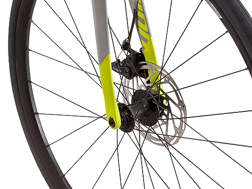 Schwinn Fastback AL Disc Sora Adult Performance Road Bike Grey