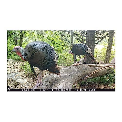 Browning Dark Ops Pro X Cellular Game Camera Bundle with Infrared Night Vision and Memory Card