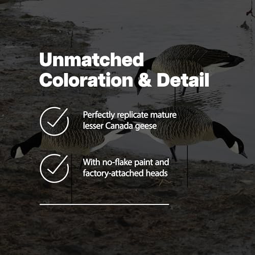 Avian-X Topflight Early Season Teal & AXP Honkers Fusion Canada Goose Decoy Set 6 Pack