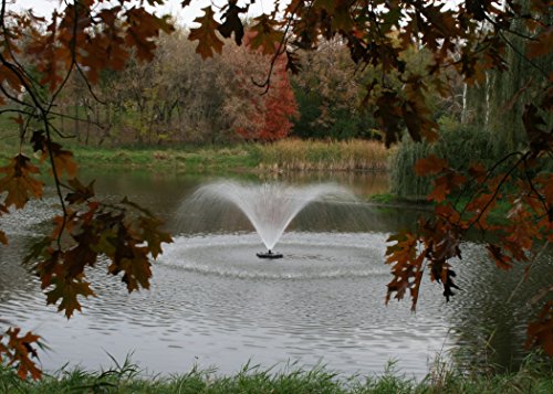 Kasco 3/4HP J Series Aerating Pond Fountain with LED Lighting Red/Blue/Green