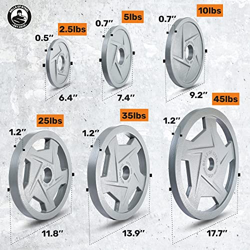 Bells of Steel Cast Iron Weight Plates Mighty Grip Olympic Weight Plates Gray