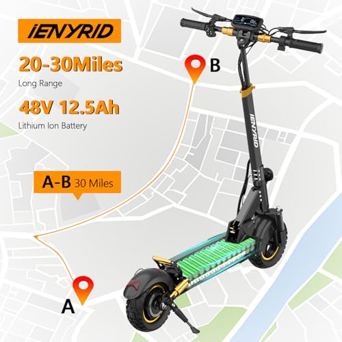iENYRID Adults Electric Scooter 800W Motor Offroad Black