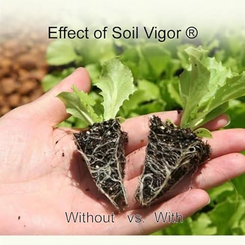 Soil Vigor Potassium Polymer Soil Moisture Retainer 45 Pounds White
