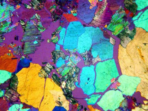AmScope Digital Metallurgical Microscope 50X-1500X with 1.3MP Camera