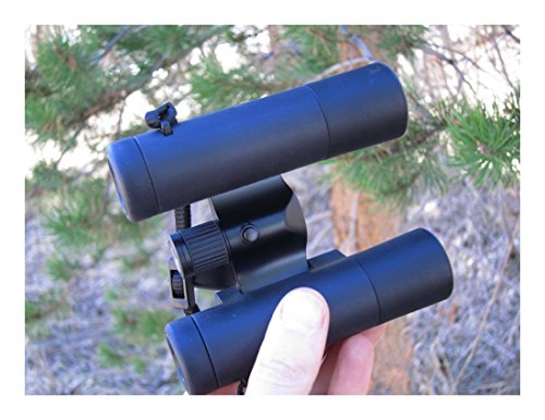 Leica Ultravid 10x25 BCR Compact Binoculars Black