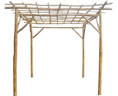 MGP Teak Log Wood Pergola 10' x 10' x 8'H