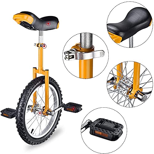 JINCAN Unicycle 20-Inch Balance Bicycle with Anti-Skid Tires