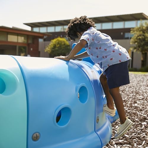 ECR4Kids Willow Climb-N-Crawl Whale Play Structure Jumbo Blue