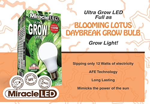 Miracle LED Blooming Lotus Daybreak Full Spectrum LED Grow Light Bulb 24-Pack