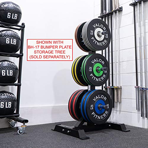 Valor Fitness BPP-280B 280 lb Bumper Plate Set Black