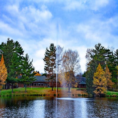 Scott Aerator Jet Stream Fountain 1/2 HP 230V Decorative Pond Fountain