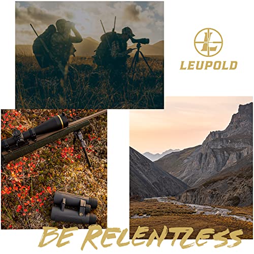 Leupold BX-4 Pro Guide HD Binoculars 10x42mm Shadow Gray