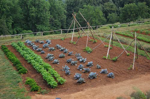 We SAVVY Irrigation GK-4000-RV Garden Irrigation Kit 4000 Row Feet