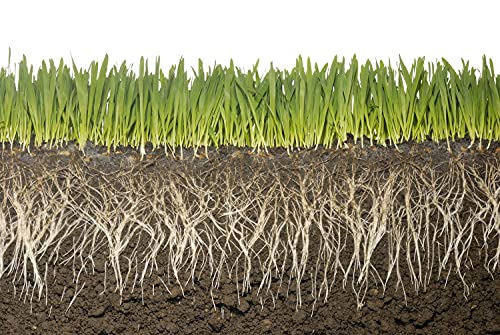 Soil Vigor Potassium Water Storing Polymer Crystal for Soil Aeration 45g
