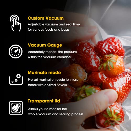 V Vesta Precision 12 Inch Chamber Vacuum Sealer OP12 Heavy Duty