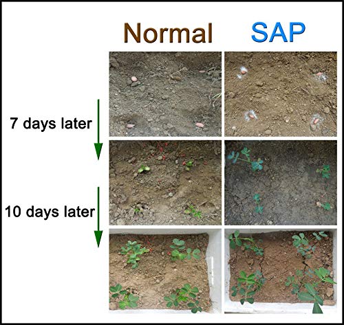 SOIL MOIST SAP SUPER ABSORBENT POLYMER Water Storing Crystal for Plants White (45 Pounds)