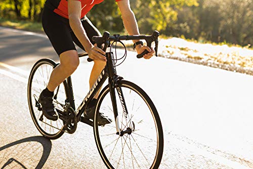 Schwinn Fastback Carbon Road Bike Matte Black
