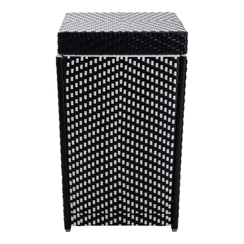 Furniture of America Azur Rattan 2-Piece Loveseat and Trash Can Set Black