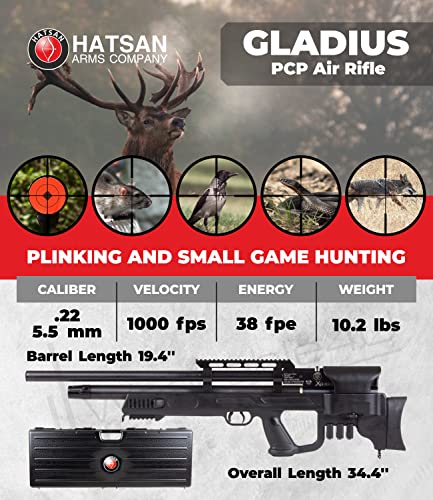 Wearable4U Hatsan Gladius .22 Cal Air Rifle Bundle with 100x Targets & 250x Pellets