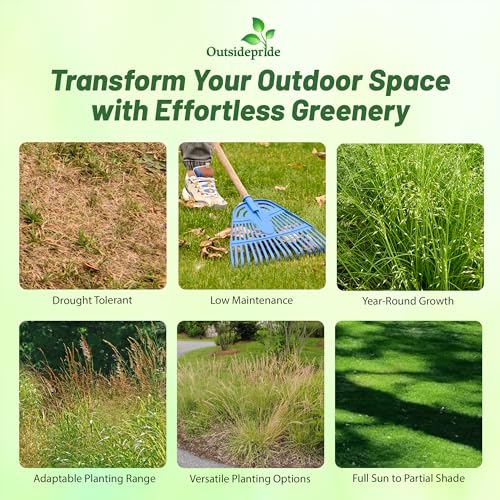 Outsidepride Southwest Native Grass Seed Mix 25 lbs Green