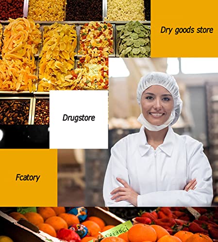 INTSUPERMAI 30 Layer Commercial Food Dehydrator Stainless Steel for Meat, Fruit, Vegetable, Pet Food 110V