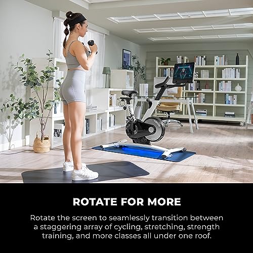 freebeat. Exercise Bike Mist Gray