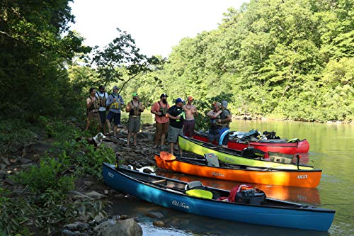 Old Town Dirigo Tandem Plus Recreational Kayak Sunrise