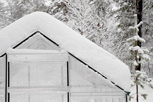 Palram Canopia Hybrid Greenhouse 6' x 8' Forest Green