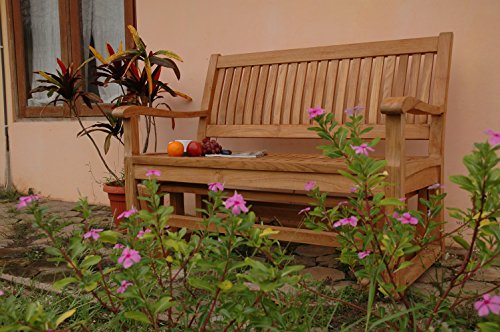 Anderson Teak Multicolored Glider