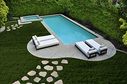 Solis Volantes Outdoor Lounge Chair with Cushions Black Sage