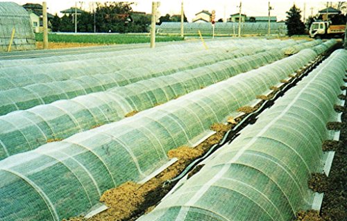DIO-Betalon 78" x 328' DT-650 PVA Agricultural Floating Row Cover Natural