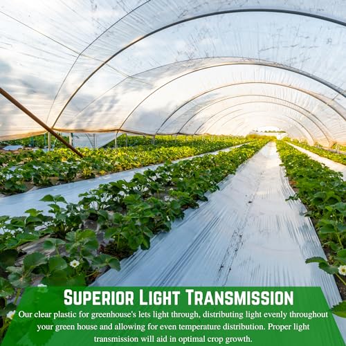 Farm Plastic Supply String Reinforced 10 Mil Clear Greenhouse Plastic Sheeting 42' x 75' Clear