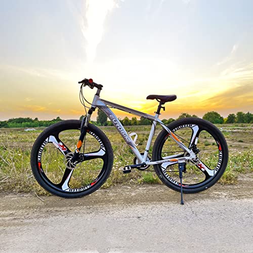 EUROBKE Mens Mountain Bike 29 inch X9 Silvery 3-Spoke