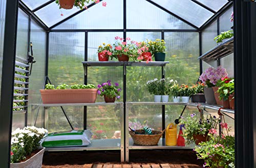 Palram Canopia HGK141 Glory Greenhouse with 4 HD Shelves 8'x8' Gray