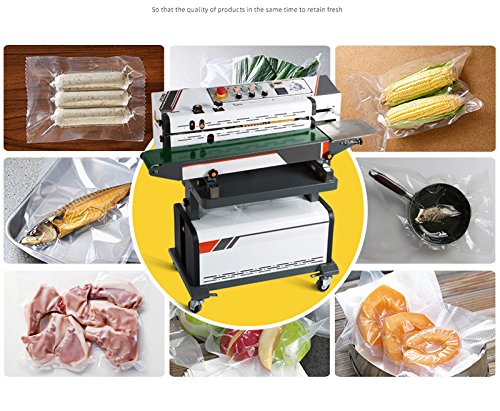 INTBUYING Automatic Vacuum Sealing Packing Machine with Code Printer LF1080 110V Black&White