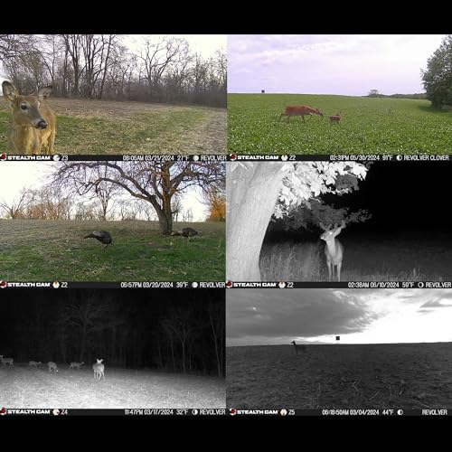Stealth Cam Revolver 36MP Cellular Trail Camera Bundle with Solar Panel and Memory Card
