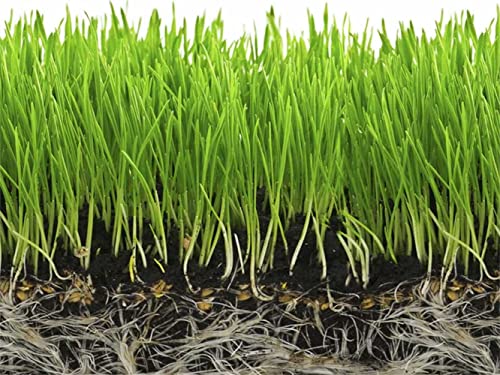 Soil Moist SAP Super Absorbent Polymer Water Retaining Crystal for Plants White 45 Pounds