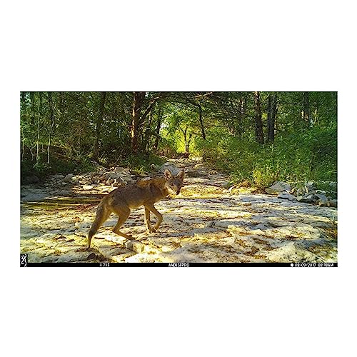 Browning Dark Ops Pro X Cellular Game Camera Bundle with Infrared Night Vision and Memory Card