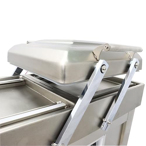 Banfluxion 220V Vacuum Packaging Machine DZ400 Two Chamber Sealer 900W