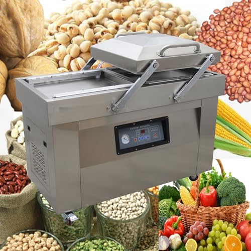 Banfluxion 110V DZ500 Two Chamber Vacuum Packaging Machine 1500W for Meat, Vegetables, Fruits