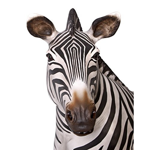 Design Toscano African Zebra Statue Full Color