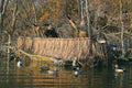 Banded Avery Outdoor Quick-Set Aluminum Frame Duck Boat Blind Combo Kit Legacy Camo Nets
