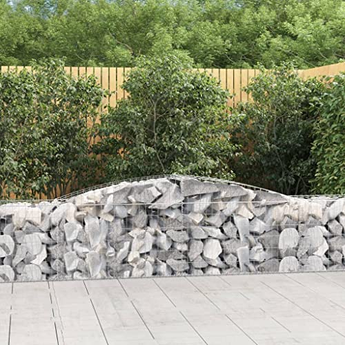Arched Gabion Baskets 2 pcs Galvanized Iron for Outdoor Plants White Black