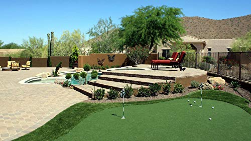 Artificial Grass Wholesalers 15' Golf Putting Green Artificial Turf Mat Roll Green