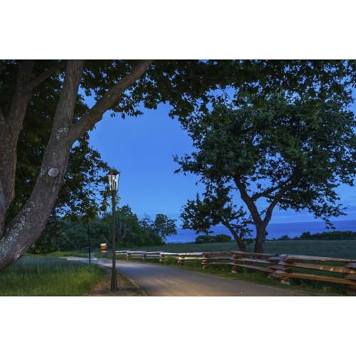 Z-Lite Gannon 3 Light 121" Tall Post Light Black